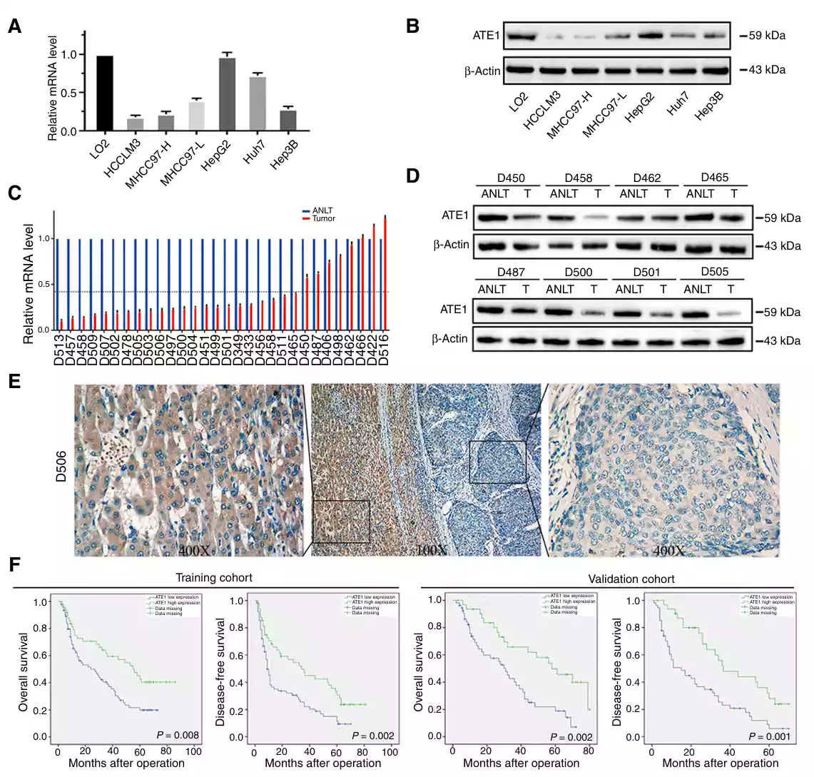 Publication