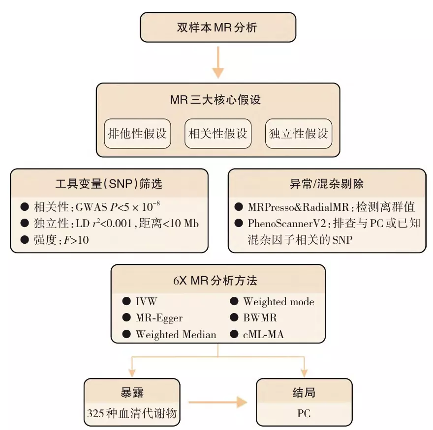 Publication